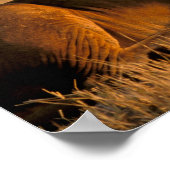 アフリカ、ボツワナ、オカヴァンゴデルタ。ライオン（パンテラ） ポスター (角)