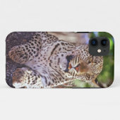 アフリカ、ボツワナ、オクバンゴ・デルタ、野生のヒョウ。 2 Case-Mate iPhoneケース (裏面(横))