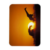 アフリカ，ボツワナ，チョベ国立公園，キリン2 マグネット (縦)