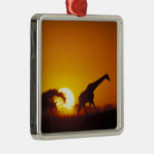 アフリカ，ボツワナ，チョベ国立公園，キリン2 メタルオーナメント (右)