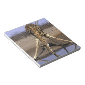 アフリカ,ボツワナ,チョベ国立公園,キリン ノートパッド (アングル)