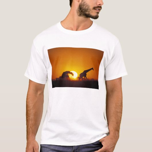 アフリカ, ボツワナ, チョベ国立公園, キリン 2 Tシャツ (正面)