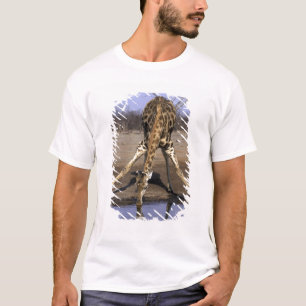 アフリカ, ボツワナ, チョベ国立公園, キリン Tシャツ