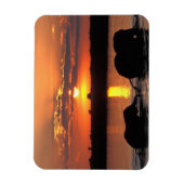 アフリカ，ボツワナ，チョベ国立公園，ヘルド マグネット (縦)