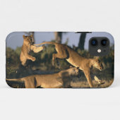 アフリカ, ボツワナ, チョベ国立公園, ライオン Case-Mate iPhoneケース (裏面(横))