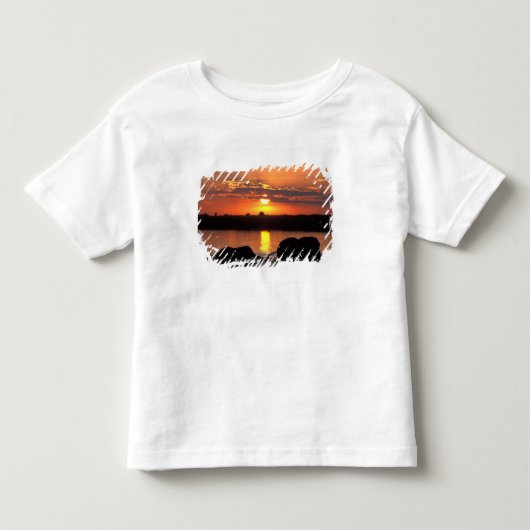 アフリカ, ボツワナ, チョベ国立公園, 群れ トドラーTシャツ (正面)