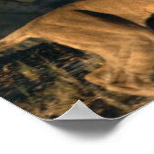 アフリカ,ボツワナ,チョベ国立公園,雌ライオン ポスター (角)