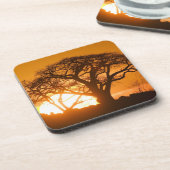 アフリカ、ボツワナ、夕日シルエットバオバブ コースター (左側)