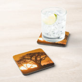 アフリカ、ボツワナ、夕日シルエットバオバブ コースター (右側)