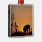 アフリカ，ボツワナ，長部国立公園，セッティング メタルオーナメント (右)