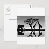 アフリカ ポストカード (正面/裏面)