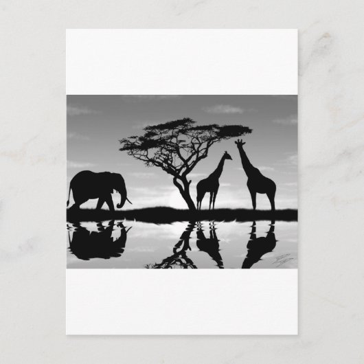 アフリカ ポストカード (正面)
