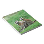 アフリカ，マダガスカル，アンタナナリボ，チムバザザ ノートパッド (アングル)