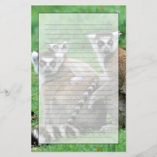 アフリカ,マダガスカル,アンタナナリボ,チムバザザ 便箋 (正面)