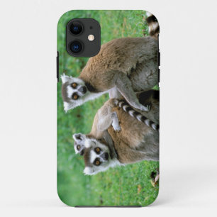 アフリカ, マダガスカル, アンタナナリボ, ツィンバツァザ iPhone 11 ケース