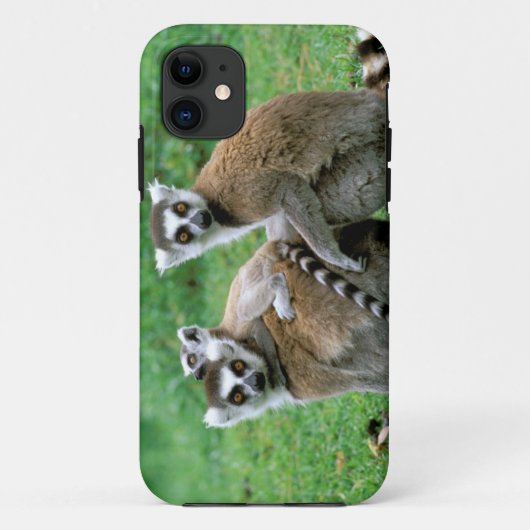アフリカ, マダガスカル, アンタナナリボ, ツィンバツァザ Case-Mate iPhoneケース (裏面)