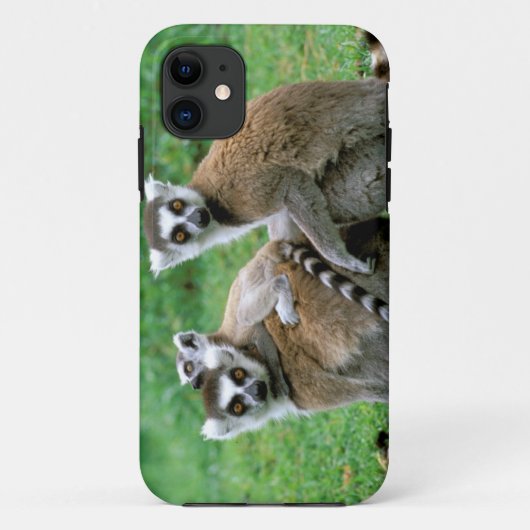 アフリカ, マダガスカル, アンタナナリボ, ツンバザザ Case-Mate iPhoneケース (裏面)