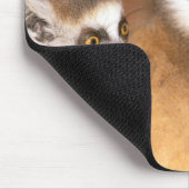 アフリカ、マダガスカル、ベレンティ保護区。 マウスパッド (コーナー)