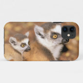 アフリカ、マダガスカル、ベレンティ保護区。 Case-Mate iPhoneケース (裏面(横))
