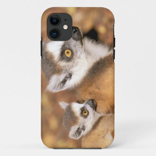 アフリカ、マダガスカル、ベレンティ・プライベート・リザーブ iPhone 11 ケース