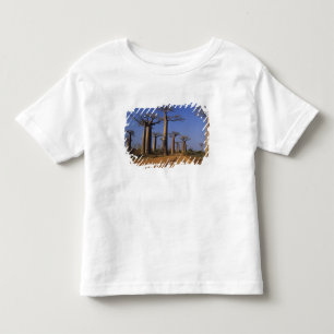 アフリカ, マダガスカル, モロンダバ, バオバブ・アベニュー トドラーTシャツ
