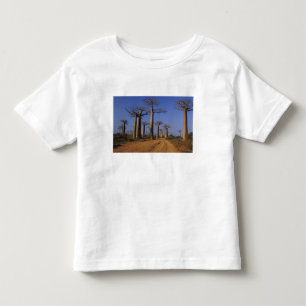 アフリカ、マダガスカル、モロンダバ、バオバブ・アベニュー トドラーTシャツ