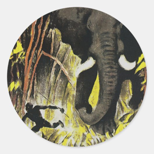 アフリカ ラウンドシール (正面)