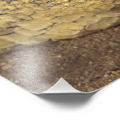 アフリカ、南アフリカナイルワニ フォトプリント            (角)