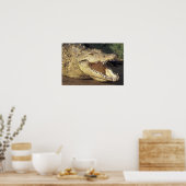 アフリカ、南アフリカナイルワニ ポスター (キッチン)