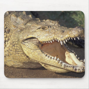 アフリカ、南アフリカ ナイルワニ マウスパッド