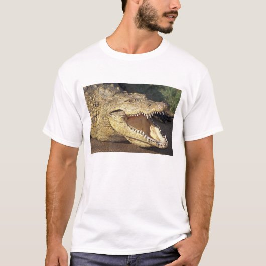 アフリカ、南アフリカ、ナイルワニ Tシャツ (正面)