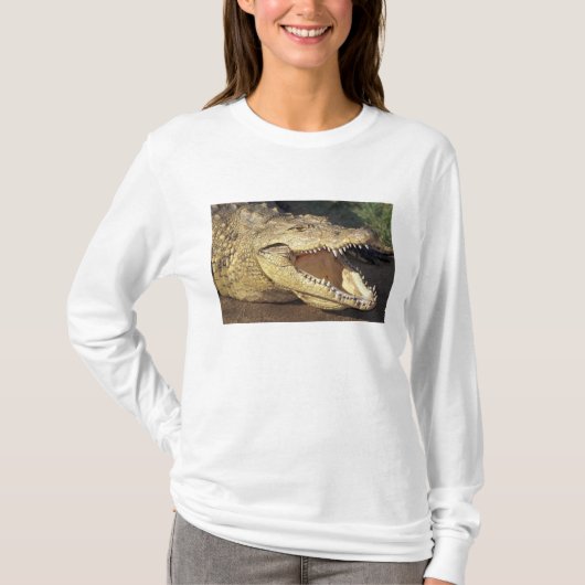 アフリカ、南アフリカ、ナイルワニ Tシャツ (正面)