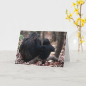 アフリカ、東アフリカ、タンザニアのGombeの国民 カード (黄色い花)