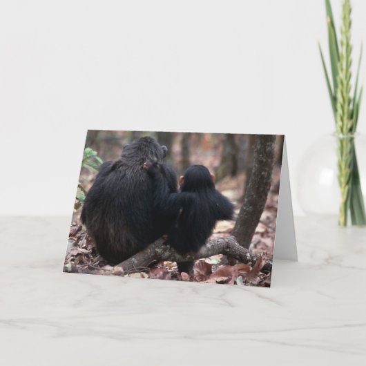 アフリカ、東アフリカ、タンザニアのGombeの国民 カード (正面)