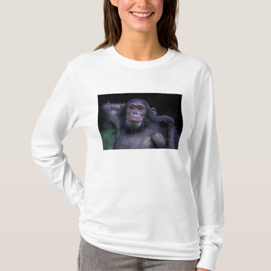 アフリカ、東アフリカ、タンザニア、ゴンベ国立公園 3 Tシャツ (正面)