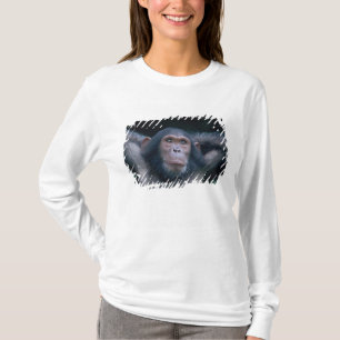 アフリカ, 東アフリカ, タンザニア, ゴンベ国立 Tシャツ