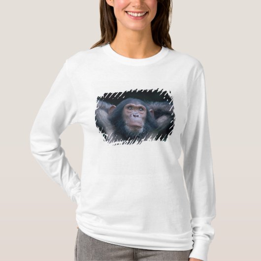 アフリカ, 東アフリカ, タンザニア, ゴンベ国立 Tシャツ (正面)