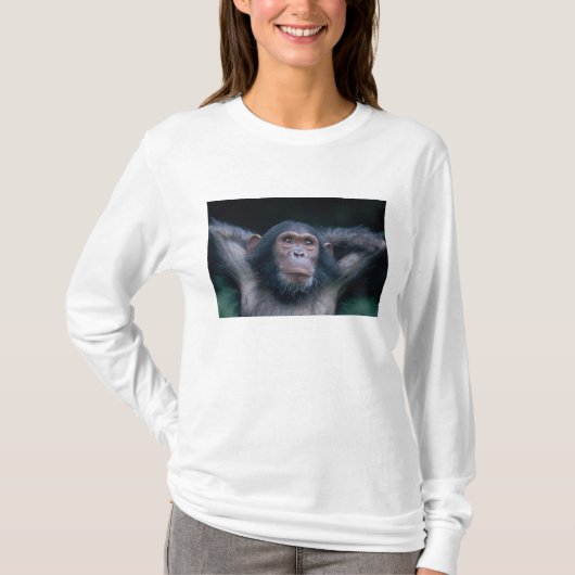 アフリカ、東アフリカ、タンザニア、ゴンベ国立 Tシャツ (正面)