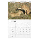 アフリカ – A Million Animals Calendar 2014 独身の Pg カレンダー (1月 2027)