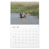 アフリカ – A Million Animals Calendar 2014 独身の Pg カレンダー (3月 2027)