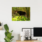 アフリカOkapi ポスター (ホームオフィス)