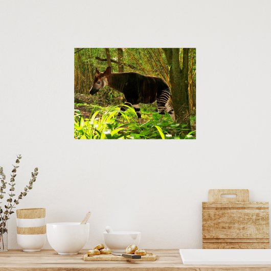 アフリカOkapi ポスター (キッチン)