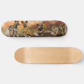 アフリ色彩の鮮やかカの子犬 スケートボード (横)