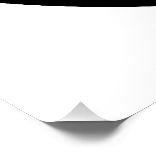 アフロイド ポスター (コーナー)