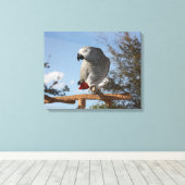 アフ素晴らしリカのオウム キャンバスプリント (インサイチュ (ウッドフロア))