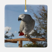 アフ素晴らしリカのオウム セラミックオーナメント (裏面)