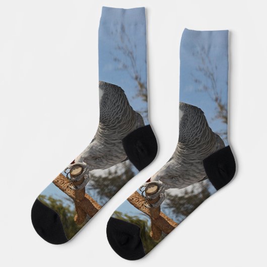 アフ素晴らしリカのオウム ソックス (左)