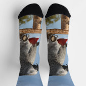 アフ素晴らしリカのオウム ソックス (上部)