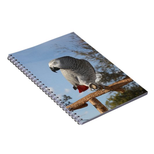 アフ素晴らしリカのオウム ノートブック (右側)