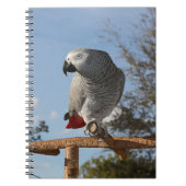 アフ素晴らしリカのオウム ノートブック (正面)